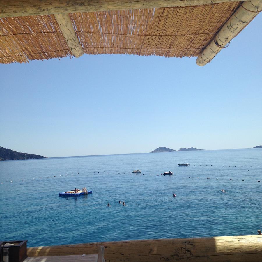 The White House Kalkan Luaran gambar